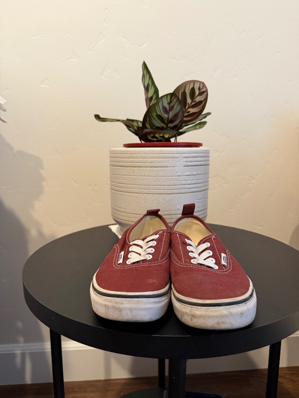 Maroonvans